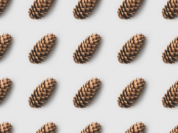 pattern of pine cones on white surface