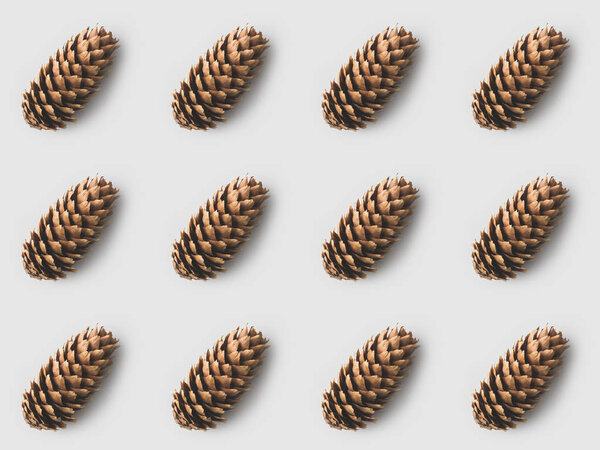 узор красивых сосновых шишек на белой поверхности
