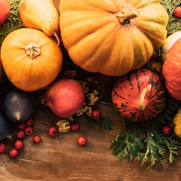 top view of various fruits and vegetables on fir branches