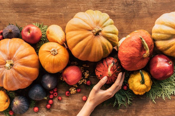 cropped shot of woman touching pumpkins on wooden table