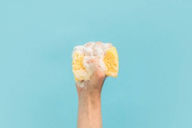 cropped view of hand holding washing sponge with foam, isolated on blue clipart