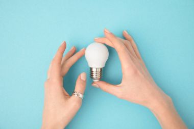 partial view of woman holding light bulb in hands isolated on blue clipart
