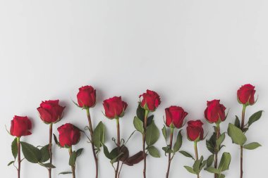 Düzenlenmiş kırmızı gül beyaz izole Üstten Görünüm