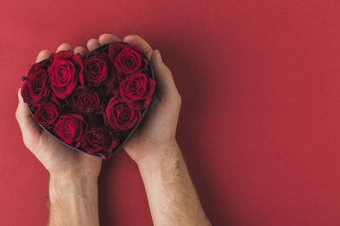 cropped shot of man holding roses in heart shaped box on red tabletop, st valentines day concept clipart