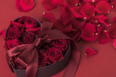 Şerit ve yaprakları kırmızı, st Sevgililer günü tatil kavramı izole kalp şeklinde hediye kutusu içinde gül görünümünü kapat