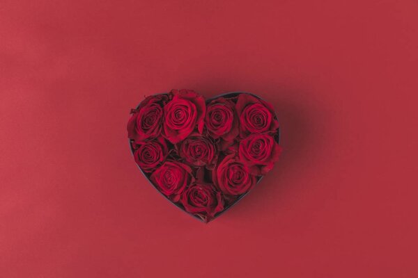 верхний вид роз в форме сердца подарочная коробка изолированы на красный, День святого Валентина праздничной концепции
