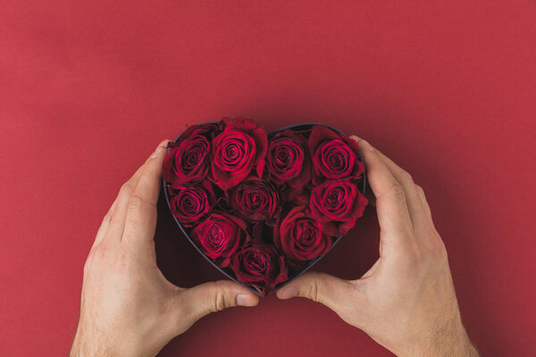cropped shot of man holding roses in heart shaped box on red tabletop, st valentines day concept