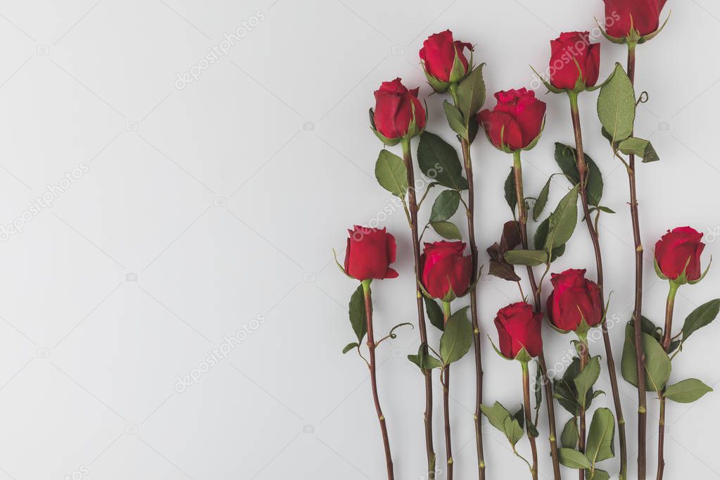 top view of arranged red roses isolated on white