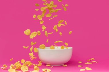 close-up view of delicious crunchy corn flakes falling into white bowl isolated on pink   clipart