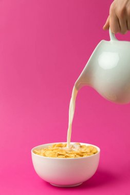 partial view of person pouring fresh healthy milk from jug into bowl with corn flakes isolated on pink  clipart