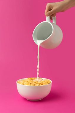 sürahi kişi yağan taze sağlıklı süt kırpılmış atış ile Mısır gevreği pink izole kase içine 