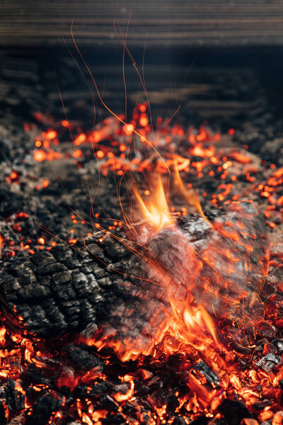 close-up shot of log burning in bonfire