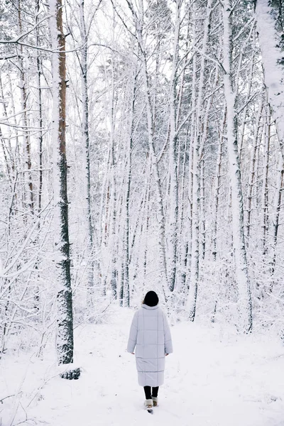 Baksidan Kvinna Promenader Snöig Skog — Stockfoto