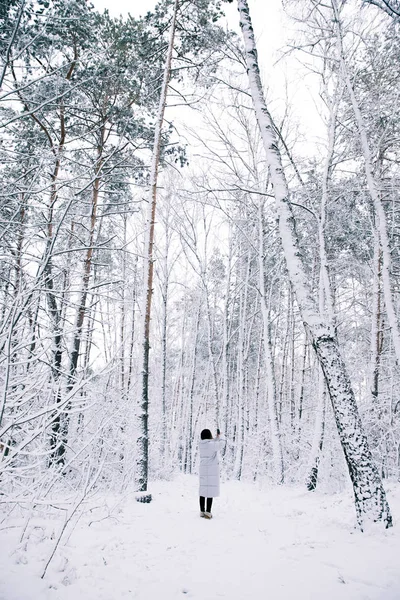 Vista Posteriore Della Donna Scattare Foto Della Foresta Innevata Smartphone — Foto Stock