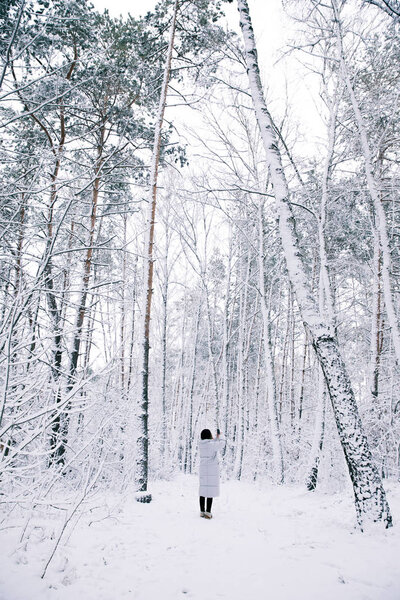 задний вид женщины, фотографирующей снежный лес на смартфон
