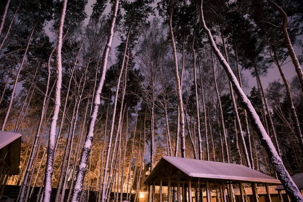Ξύλινο Εξοχικό Σπίτι Στο Χιονισμένο Δάσος Στην Νύχτα — Φωτογραφία Αρχείου
