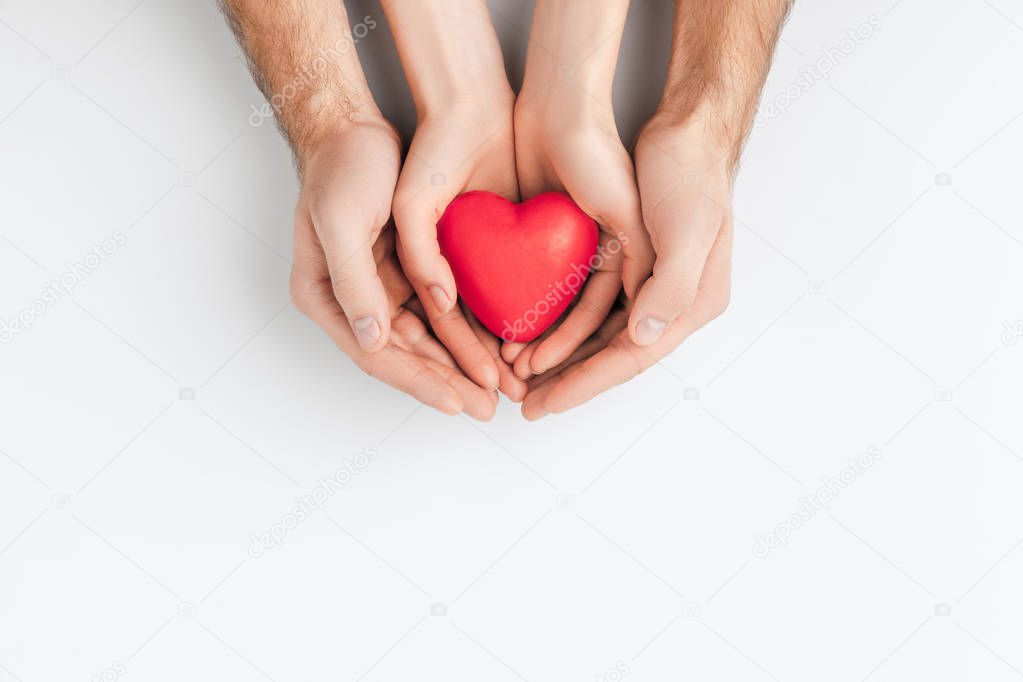 top view of hands of elder person and smaller one holding red heart isolated on white background   