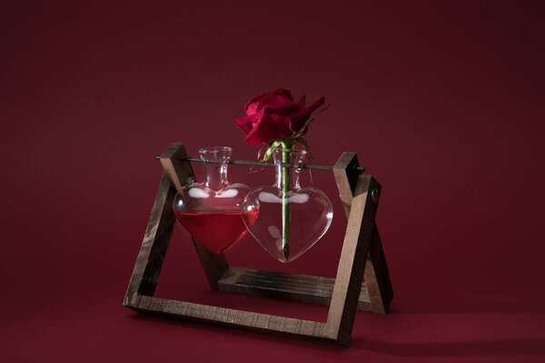 red rose in heart shaped vase and vase with love elixir on red