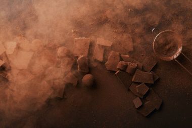kakao tozu ile çikolata, domalan ve elek çeşitli türde düzenlemenin Üstten Görünüm