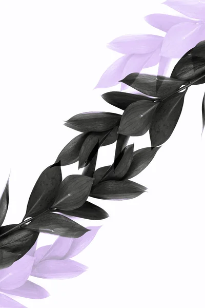 Twigs Grey Leaves Transparent Purple Twigs Isolated White — Stock Photo, Image