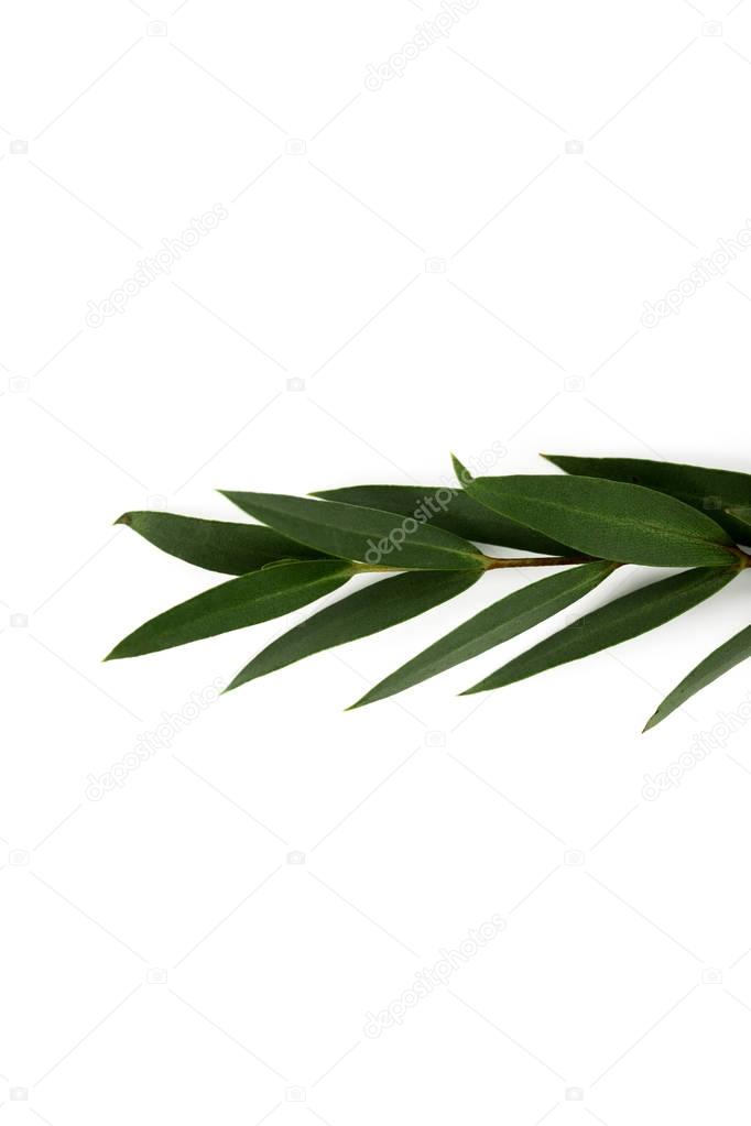 AntonMatyukha
