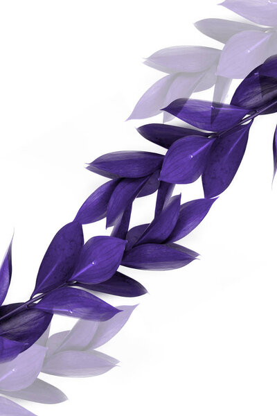 ветки с фиолетовыми листьями и прозрачными фиолетовыми ветками, изолированными на белом
 