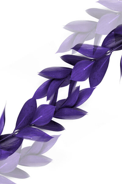 twigs with purple leaves and transparent purple twigs isolated on white 