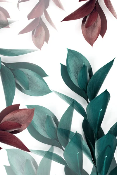 Turquoise Bruine Bladeren Twijgen Geïsoleerd Wit — Stockfoto