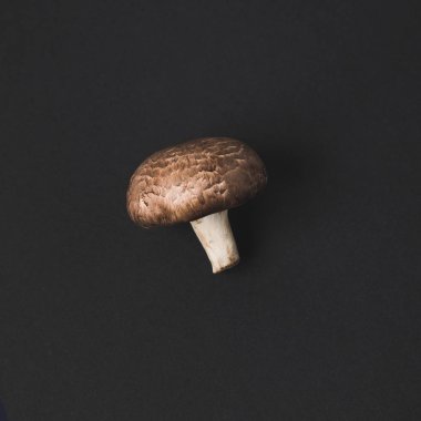 top view of raw champignon mushroom isolated on black clipart