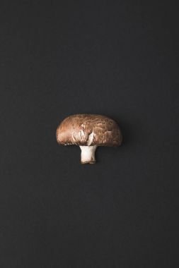 top view of champignon mushroom isolated on black clipart