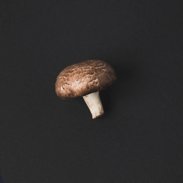 top view of raw champignon mushroom isolated on black