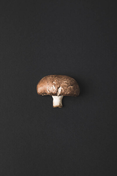 top view of champignon mushroom isolated on black