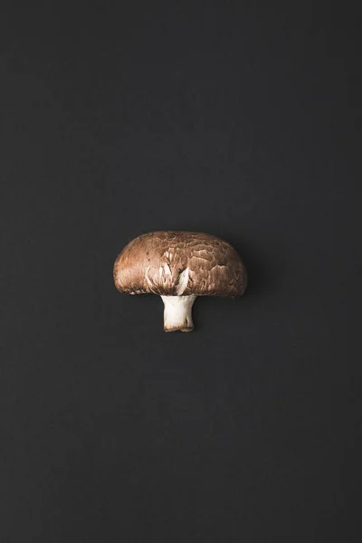 Top view of champignon mushroom isolated on black — Stock Image Top View Champignon Mushroom Isolated Black Stock Picture