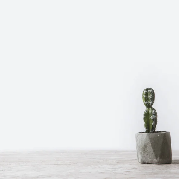 Cactus Vaso Sul Tavolo Marmo Bianco — Foto Stock