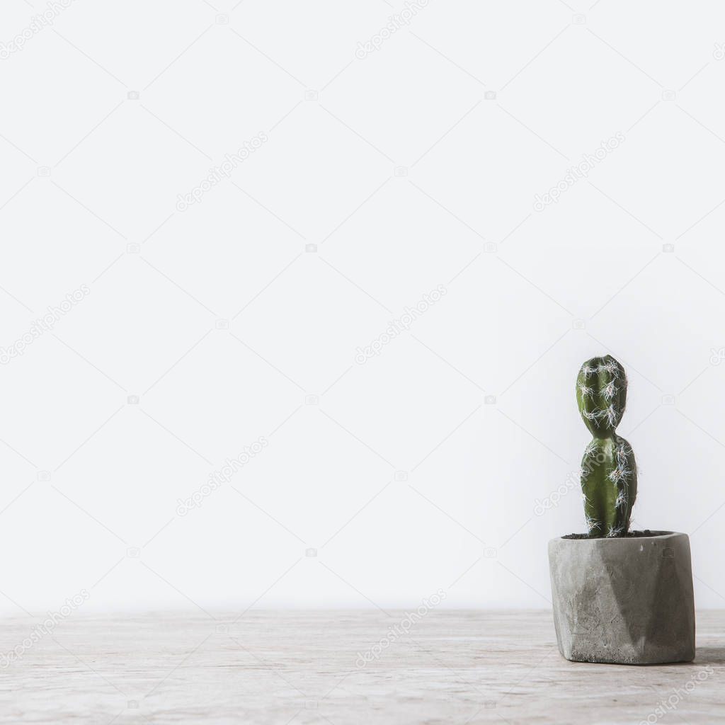 one potted cactus on marble table on white 