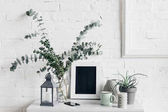 pokojové rostliny s prázdnou tabuli před bílé zdi, maketa koncepce