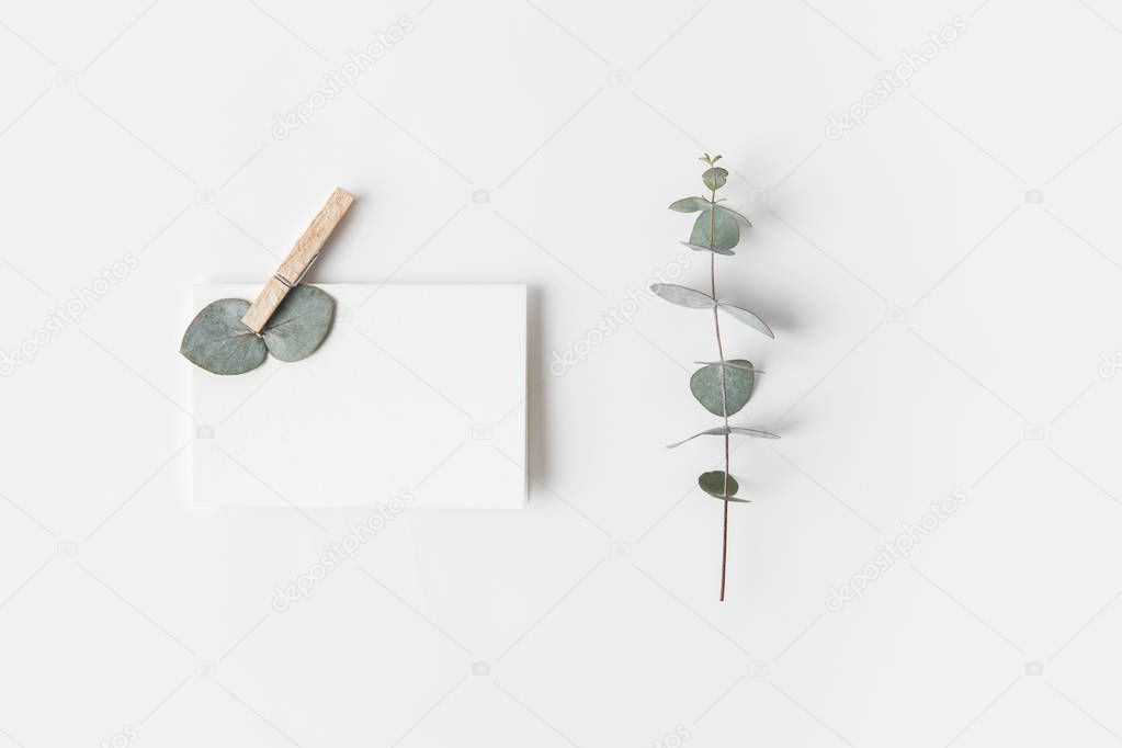 flat lay with eucalyptus and blank paper on white surface