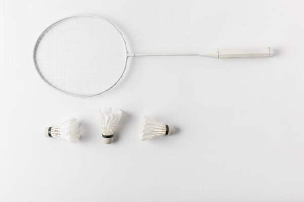 top view of badminton racket with suttercocks in row on white surface