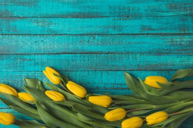 top view of beautiful yellow tulip flowers on turquoise wooden surface  