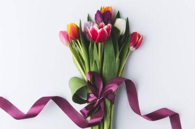 tulips clipart