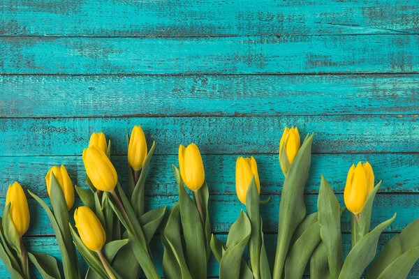 top view of beautiful yellow tulip flowers on turquoise wooden surface 
