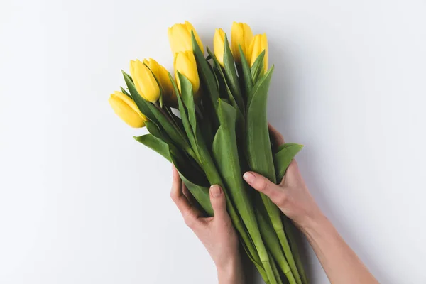 Beautiful Yellow Tulips Human Hands Isolated Grey — Stock Photo, Image