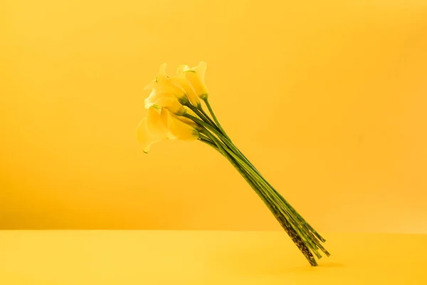 Πανέμορφο Ανθισμένο Κίτρινο Calla Λουλούδια Κρίνο Απομονώνονται Κίτρινο — Φωτογραφία Αρχείου