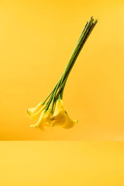 Крупным Планом Вид Красивых Желтых Цветков Калла Лилии Изолированных Желтый — стоковое фото