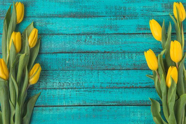 Tulipanes — Imagen de stock Tulipanes Imagen De Stock