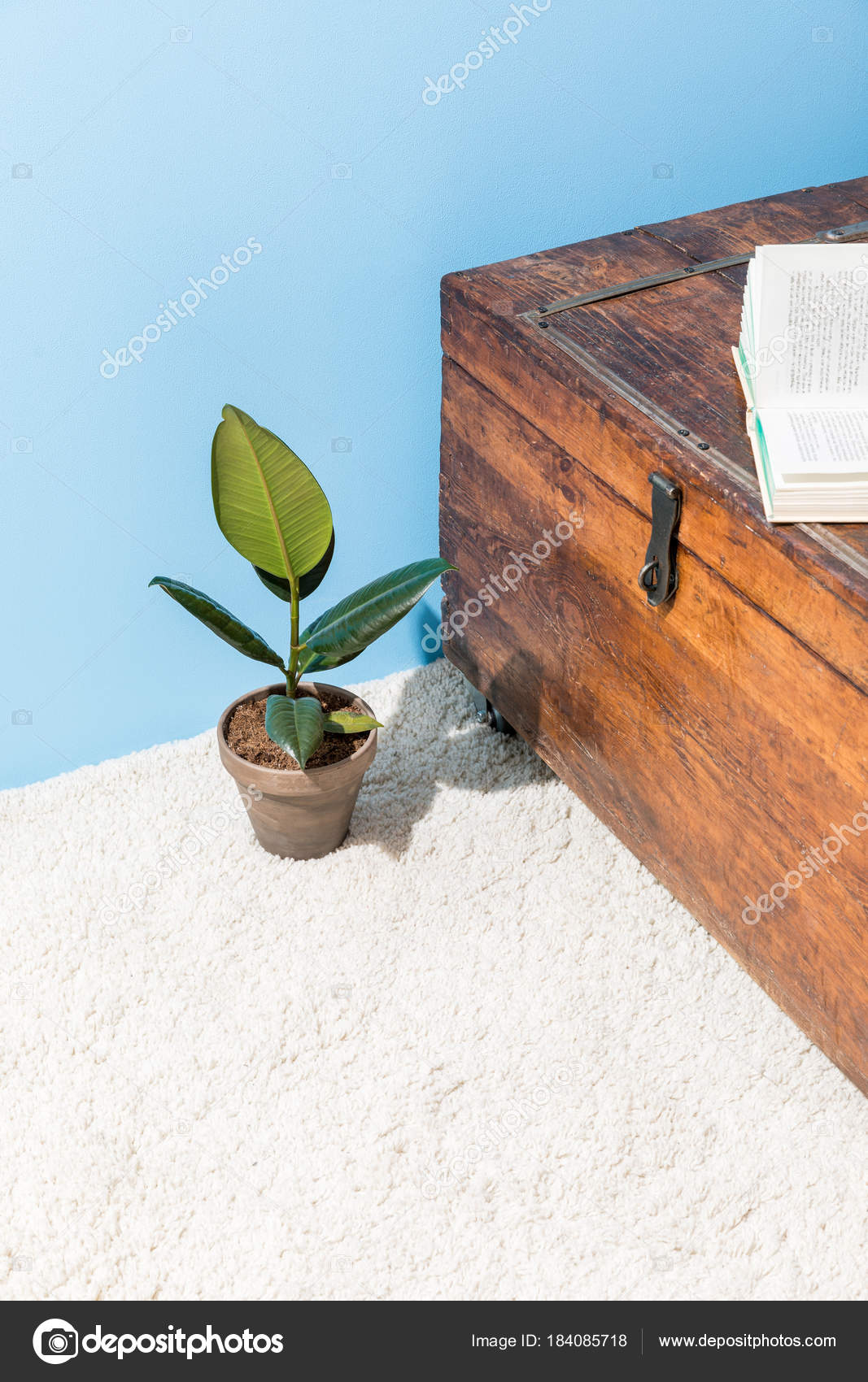Cofre Madera Vintage Con Abierto Libro Ficus Bote Delante