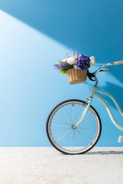 bicycle with flowers in basket standing on carpet in front of blue wall clipart