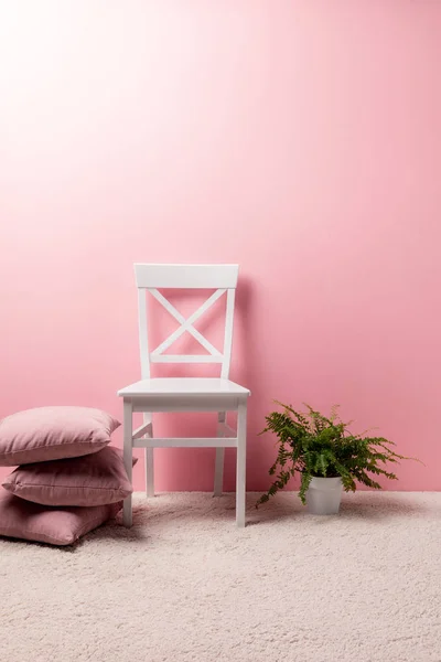 Stuhl Mit Kissen Und Farntopf Vor Rosa Wand — Stockfoto