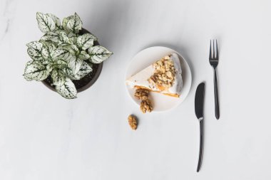Pasta plaka çatal ve Grey Saksılı bitki üzerinde yukarıdan