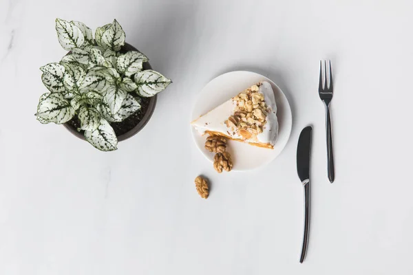 Vue Dessus Gâteau Sur Assiette Avec Couverts Plantes Pot Sur — Photo